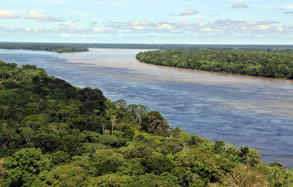 Amazonia. Fot. Neil Palmer. Creative Commons
