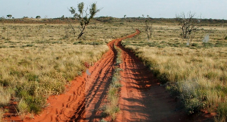 Canning Stock Route na terenie Małej Pustyni Piaszczystej, Zachodnia Australia. Creative Commons