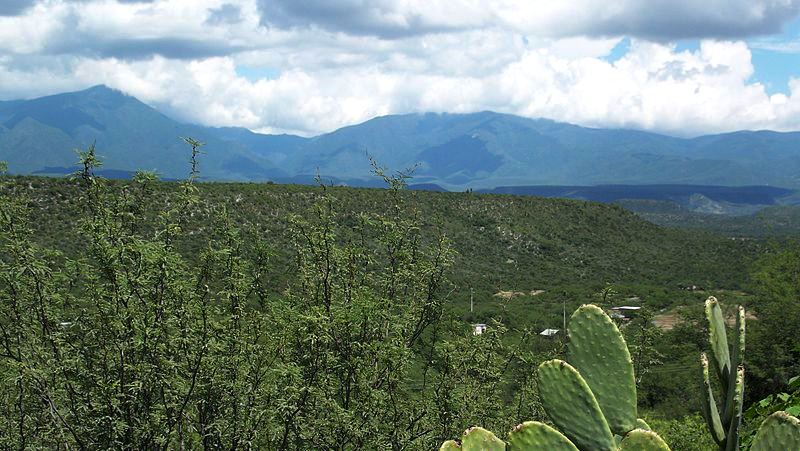 Sierra Madre Oriental w stanie Tamaulipas. Fot. XHUANX. Creative Commons
