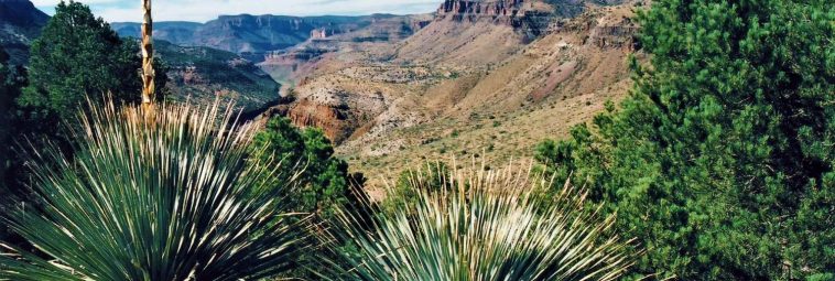 Arizona – krajobrazowe eldorado