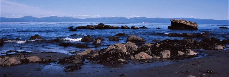 Nowe odkrycia na Channel Islands u wybrzeży Kalifornii