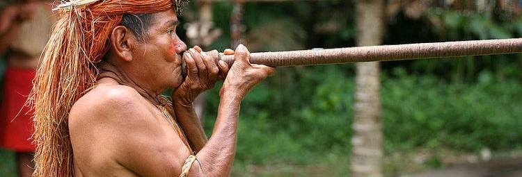 Odizolowane plemiona Amazonii