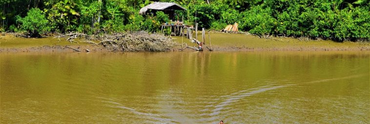 Amazonka w 4 dni, czyli rejs z Manaus do Belém