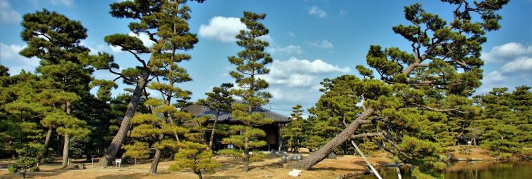 Japońskie ogrody – wystawa zdjęć